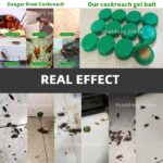 PIEGE ANTI-CAFARDS – Image 3