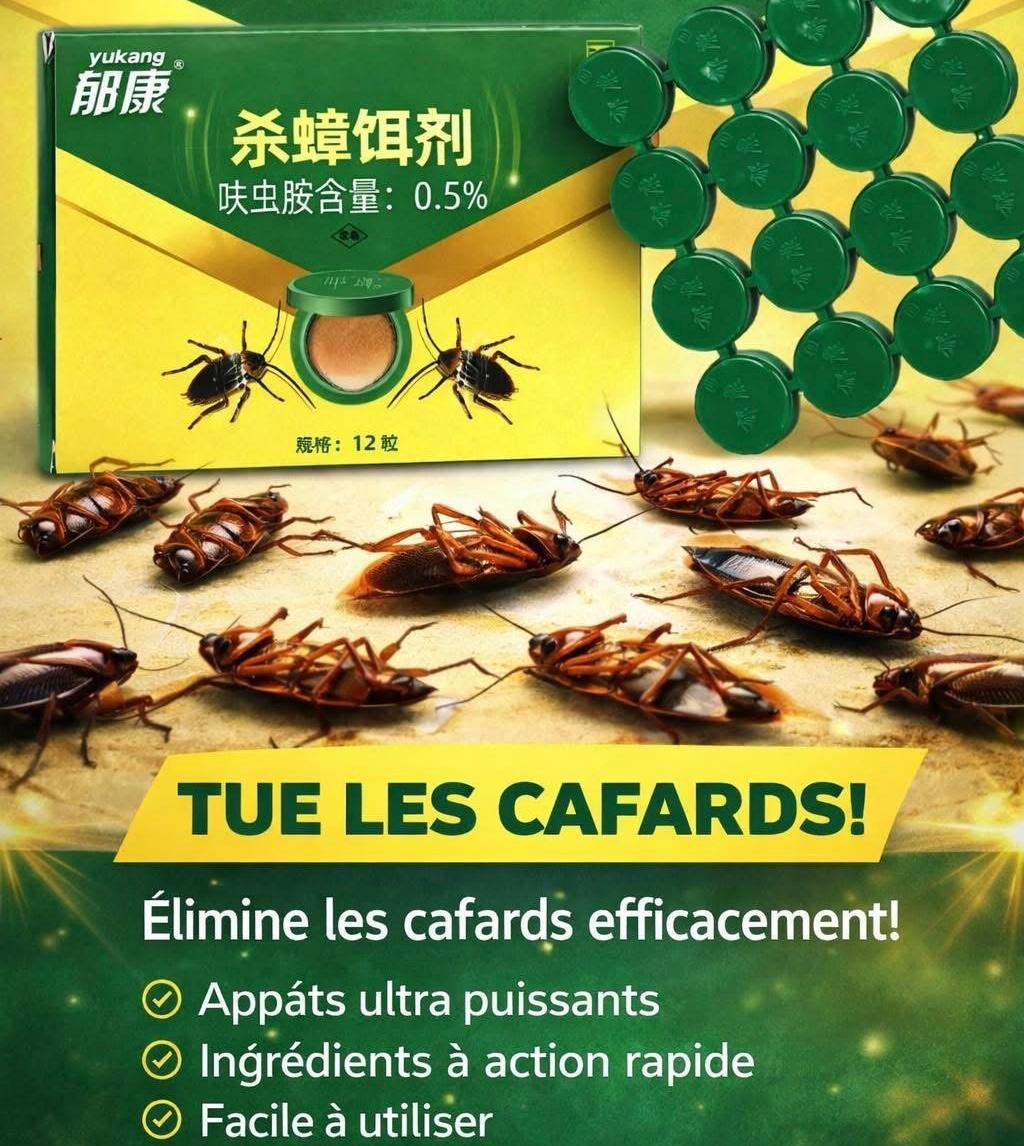 WhatsApp Image 2026-02-26 at 16.54.05 PIEGE ANTI-CAFARDS – Image 1