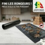 PIEGE SOURIS