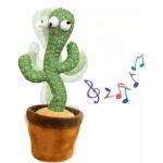 CACTUS PARLANT – Image 3